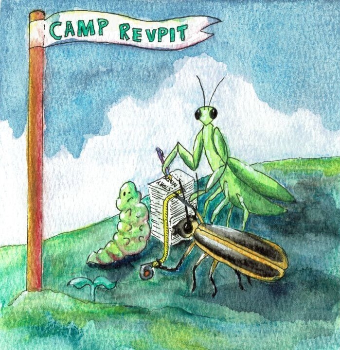 Camp RevPit 2025 three bugs around a stack of paper with a flag that says camp revpit